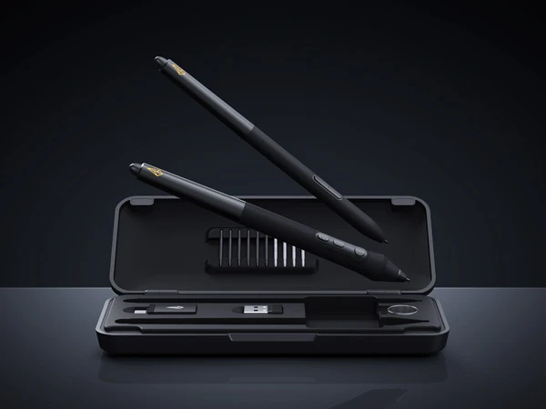 Two Pens with Case
